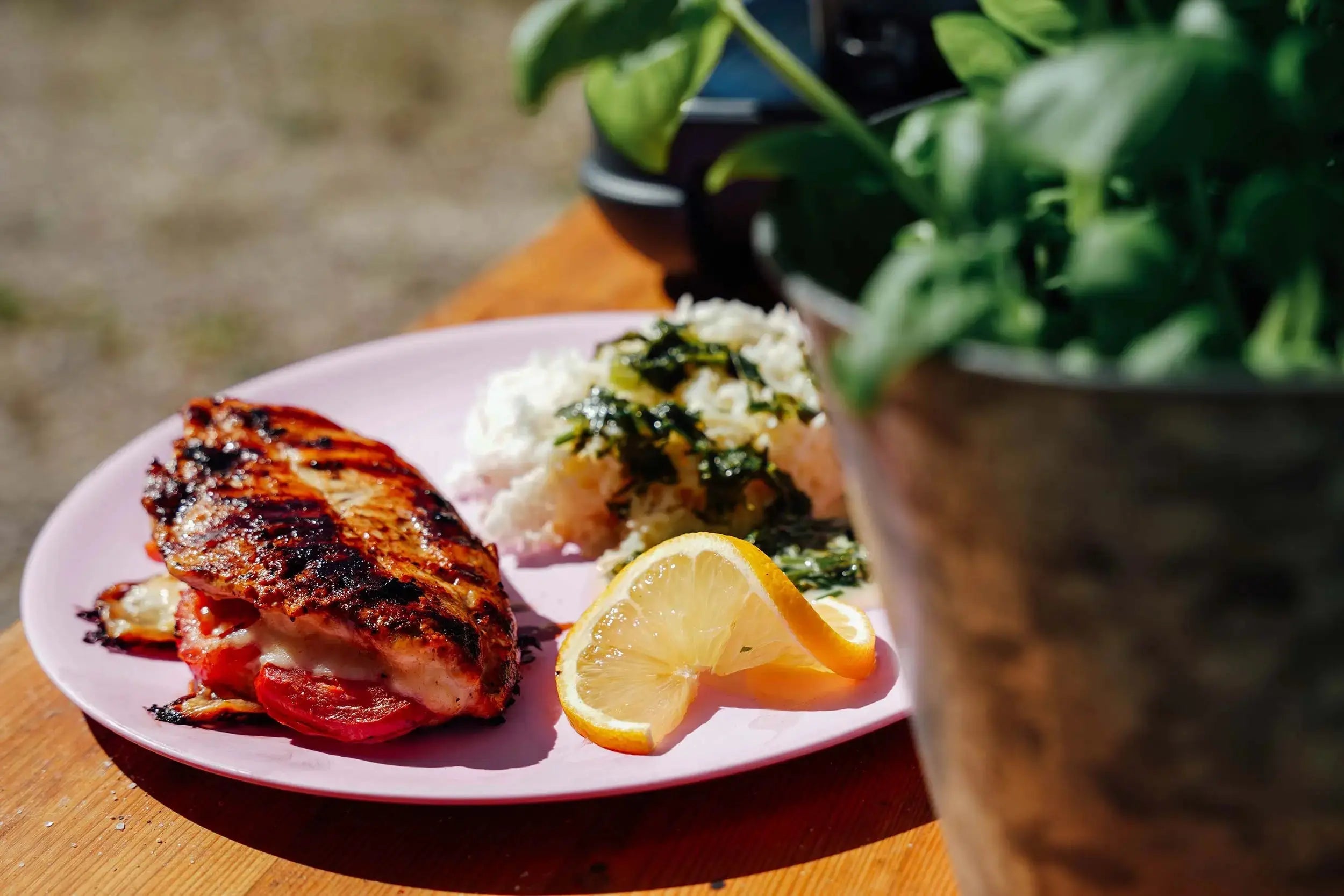 Gefüllte-Hähnchenbrust-mit-Tomate-Mozzarella-auf-Reis-mit-cremiger-Kräutersoße Campingaz & Coleman