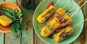 Gesund grillen - glutenfrei, cholesterinarm, low-carb (Bogen zu Fitness) - Campingaz & Coleman