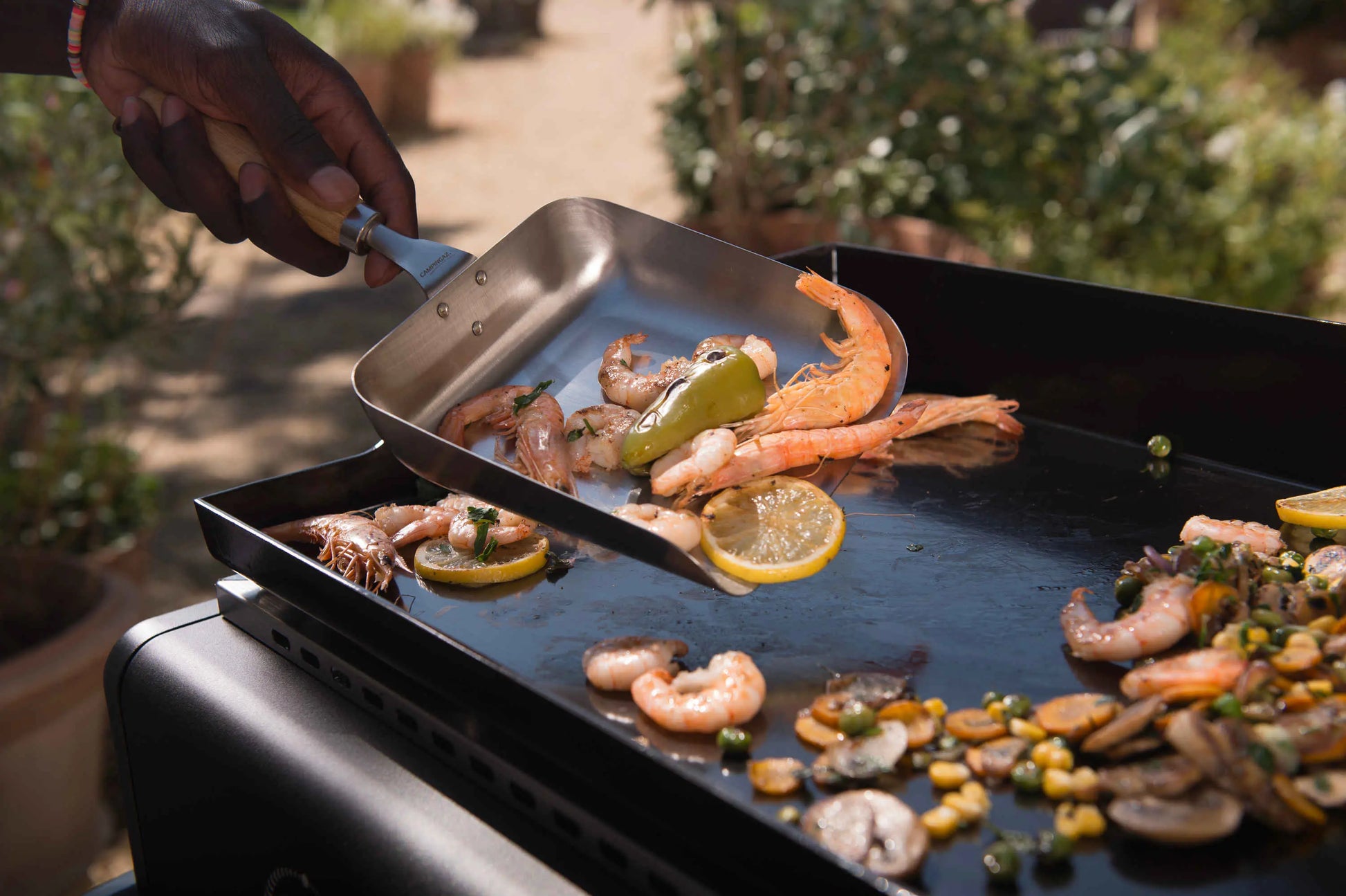 Othello 2 Plancha Campingaz & Coleman