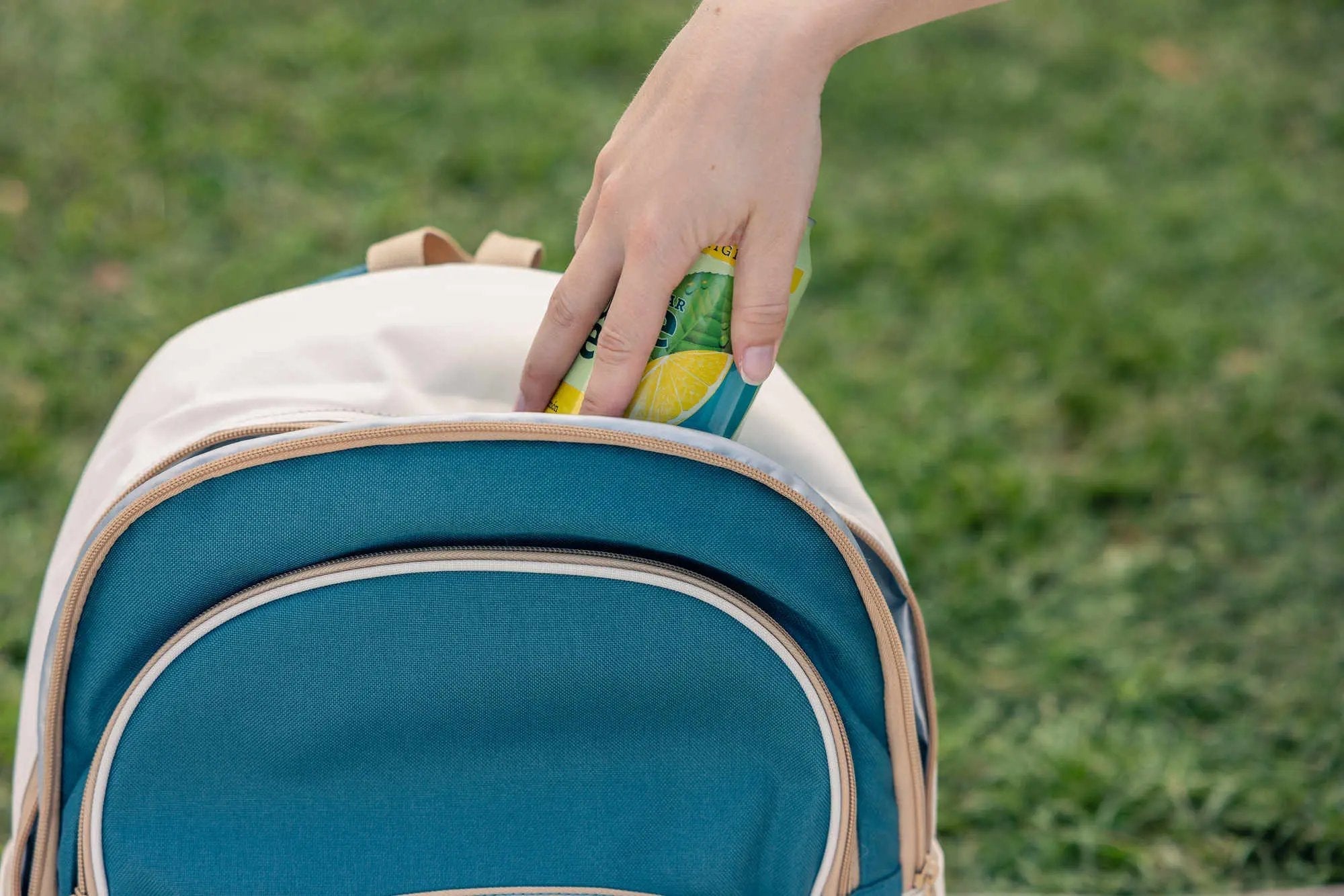 Fold´N Cool Kühl-Rucksack 20L   Campingaz & Coleman